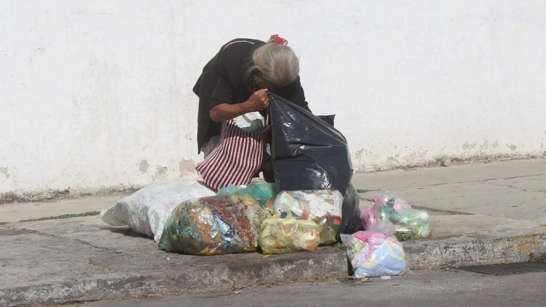 COMER DE LA BASURA (5)